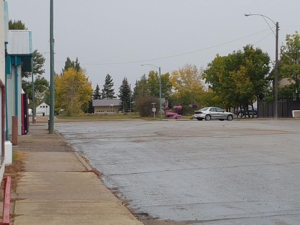 Big Muddy Inn | 170 Main St, Bengough, SK S0C 0K0, Canada | Phone: (306) 268-2175