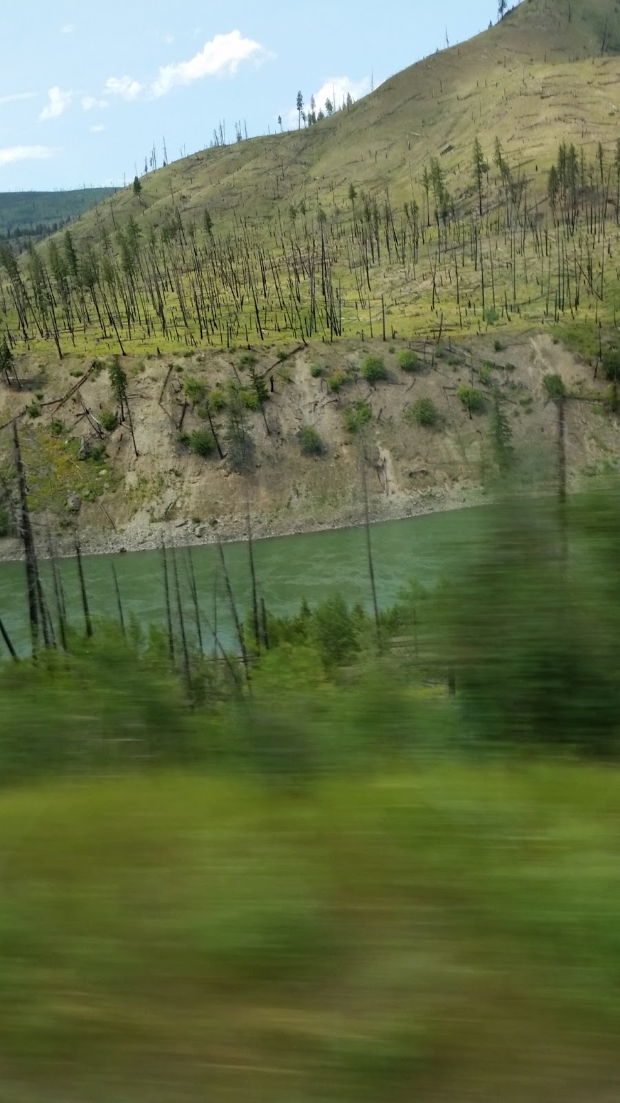 Thompson Valley Awards | 3191 Southern Yellowhead Hwy, Louis Creek, BC V0E 2E0, Canada | Phone: (250) 672-1881