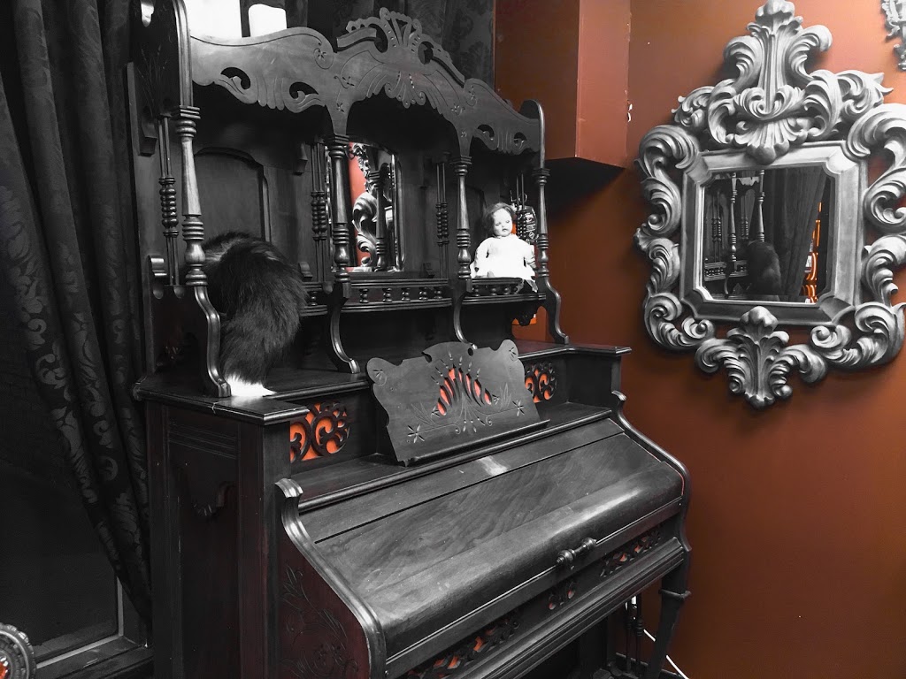 Golden Lips Tattoo | 1816 Boulevard Marie-Victorin, Longueuil, QC J4G 1Y9, Canada | Phone: (450) 646-4404