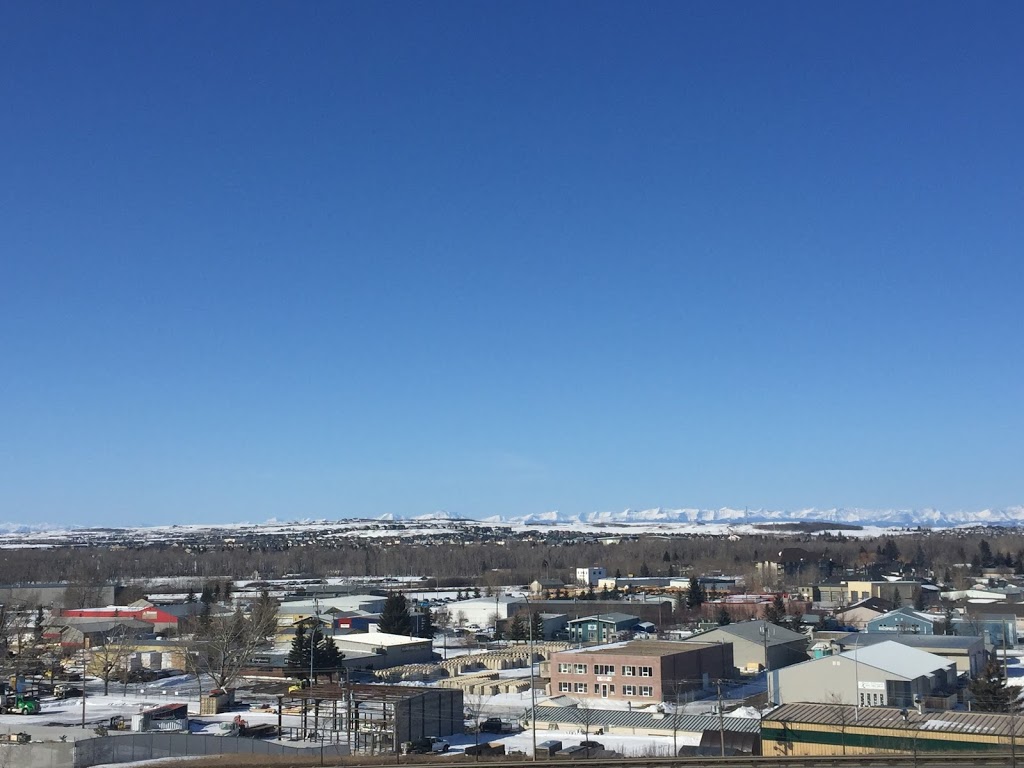 Rising Phoenix Martial Arts | 3 Fisher Crescent #213, Okotoks, AB T0H 1A9, Canada | Phone: (403) 797-0027
