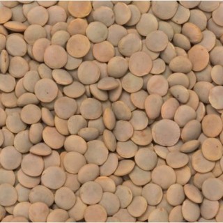 Blumer Seeds | HWY 44, SK-42, Dinsmore, SK S0L 0T0, Canada | Phone: (306) 460-7744