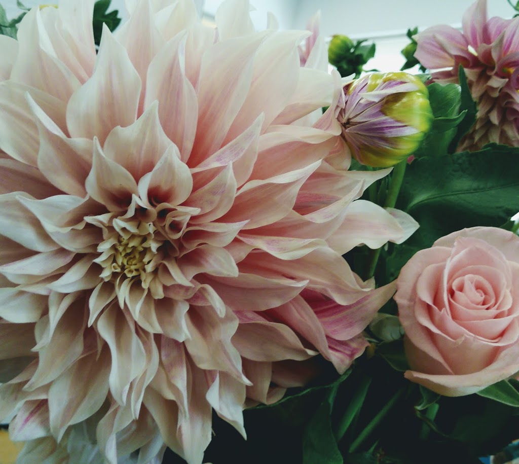 Quinn and Kims Flowers | 402 Central, Elizabeth St W Box 280, Warman, SK S0K 4S0, Canada | Phone: (306) 956-0601