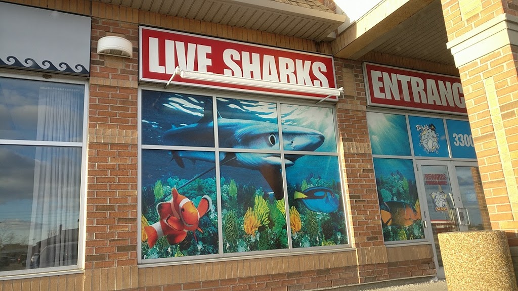Big Al's Aquarium Supercentres 3300 Rutherford Rd, Concord, ON L4K