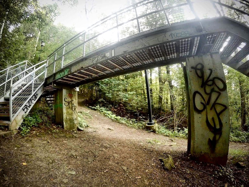 Dundurn Stairs | 2X3, Dundurn Stairs, Hamilton, ON L8P 2X3, Canada