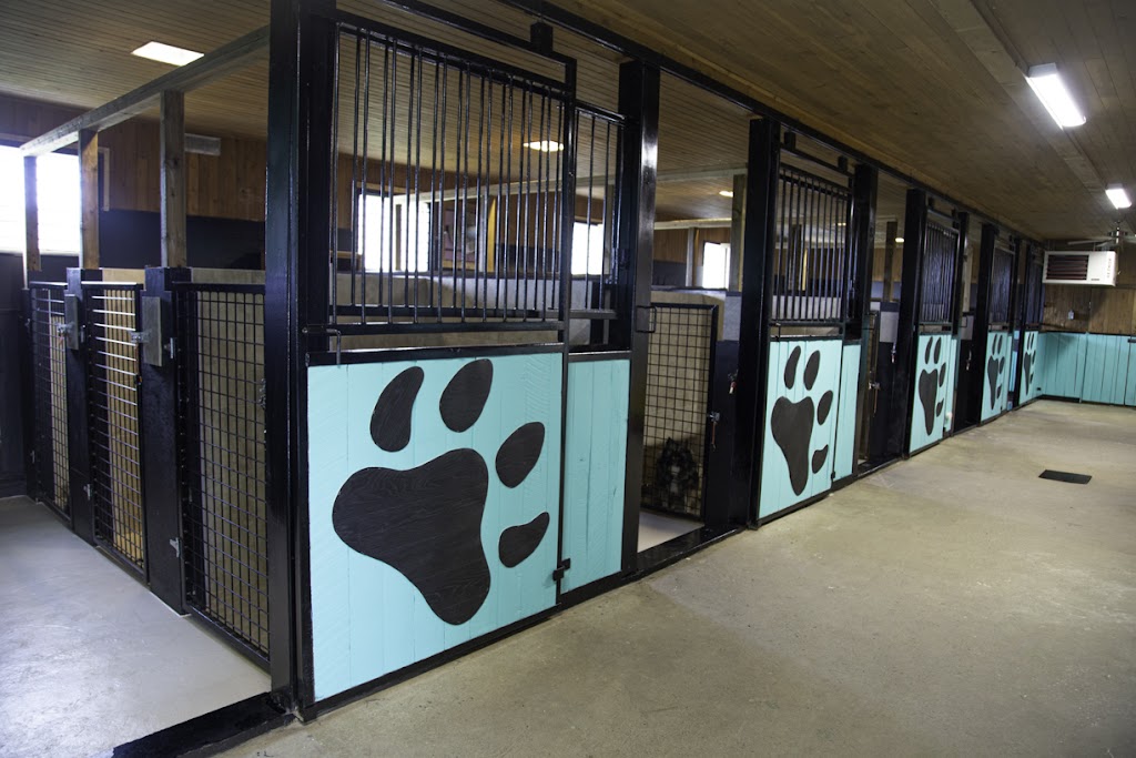 Palace pour chiens | 120, 33ème rue Lac des Français, Sainte-Marcelline-de-Kildare, QC J0K 2Y0, Canada | Phone: (450) 271-0534