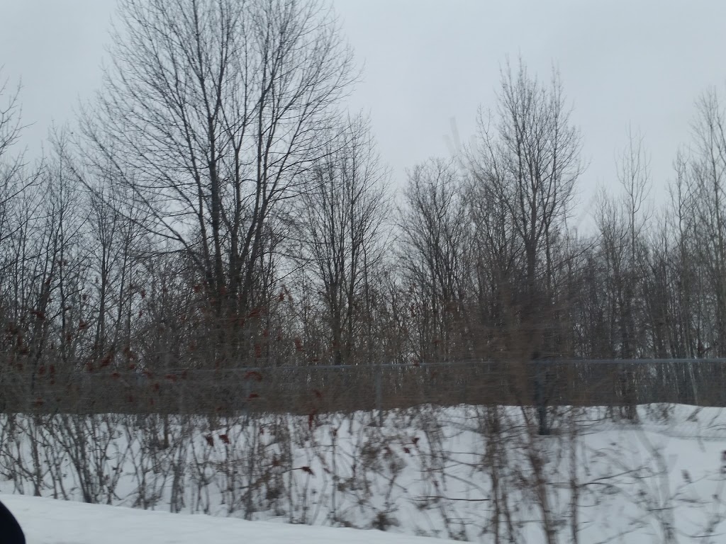 Boisé Sainte-Dorothée | Sainte-Dorothée, Laval, QC H7X 3B6, Canada | Phone: (450) 978-8000
