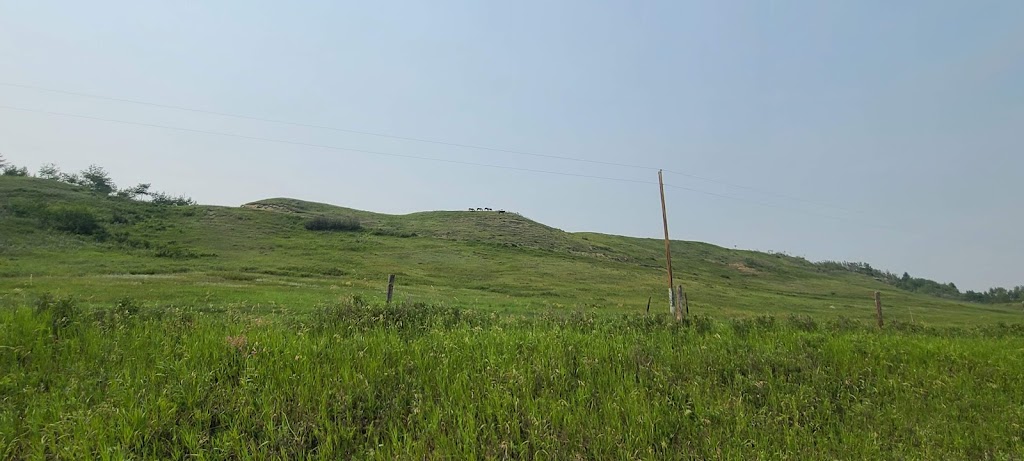 Thompson Farm | Range Rd 11A, De Winton, AB T0L 0X0, Canada | Phone: (403) 938-4940