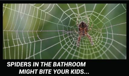Park Pest Control | 51044 Range Rd 205, Sherwood Park, AB T8G 1E5, Canada | Phone: (780) 446-7428
