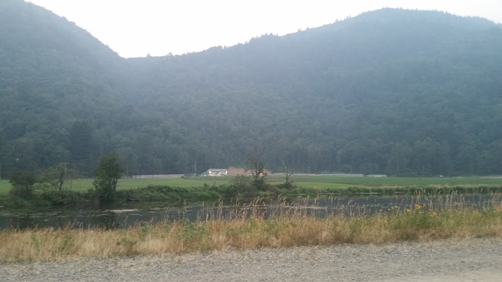 MacKay Creek Trail | 4010-4102 Lakemount Rd, Abbotsford, BC V3G 2J1, Canada