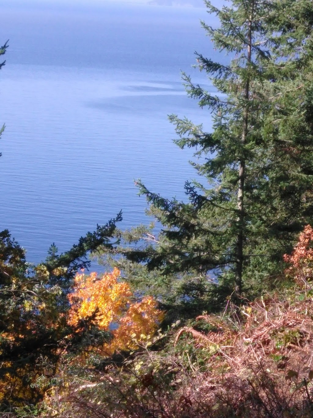 Dogfish Point | 1221 Chuckanut Dr, Bow, WA 98232, USA