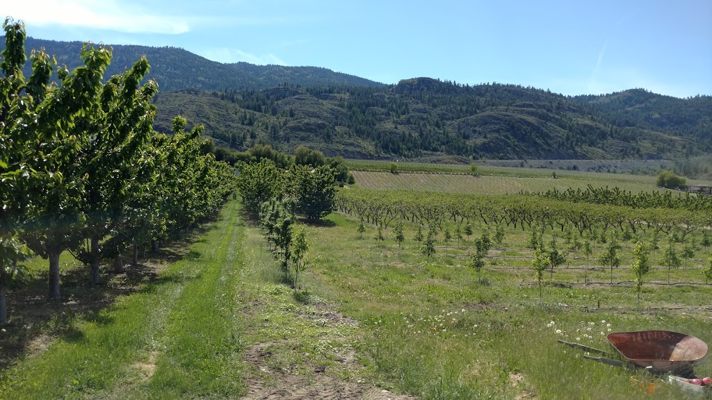 Faustino Estate Cidery | 14000 BC-97, Osoyoos, BC V0H 1V2, Canada | Phone: (250) 498-9907