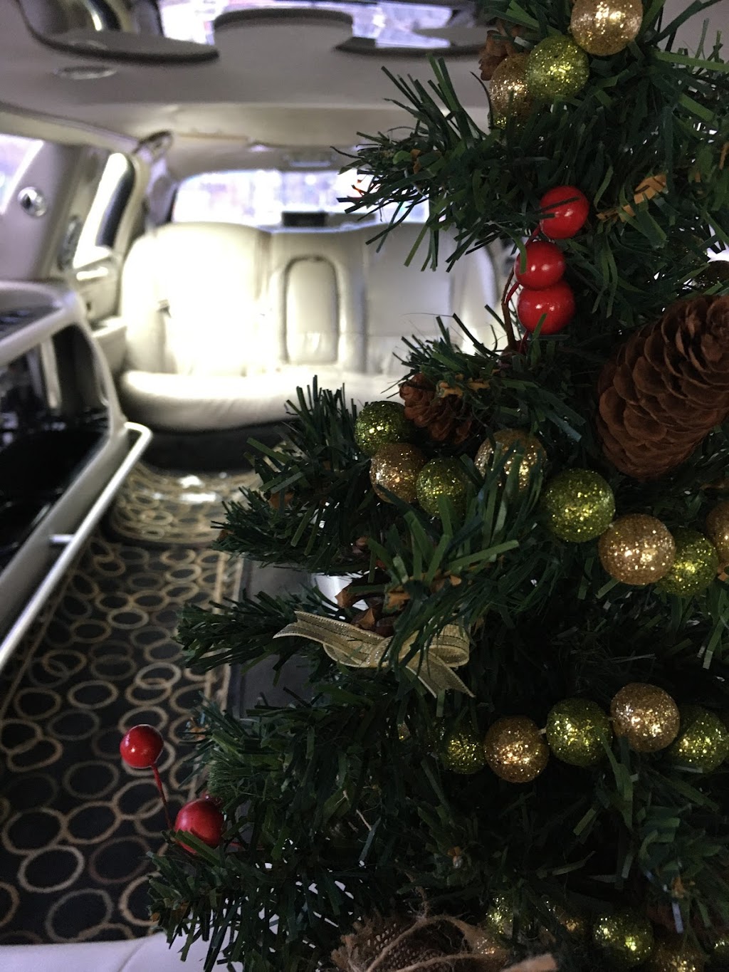 Paradise Limousine Service | 80 Plaza Dr #2614, Winnipeg, MB R3T 5S2, Canada | Phone: (246) 438-3842