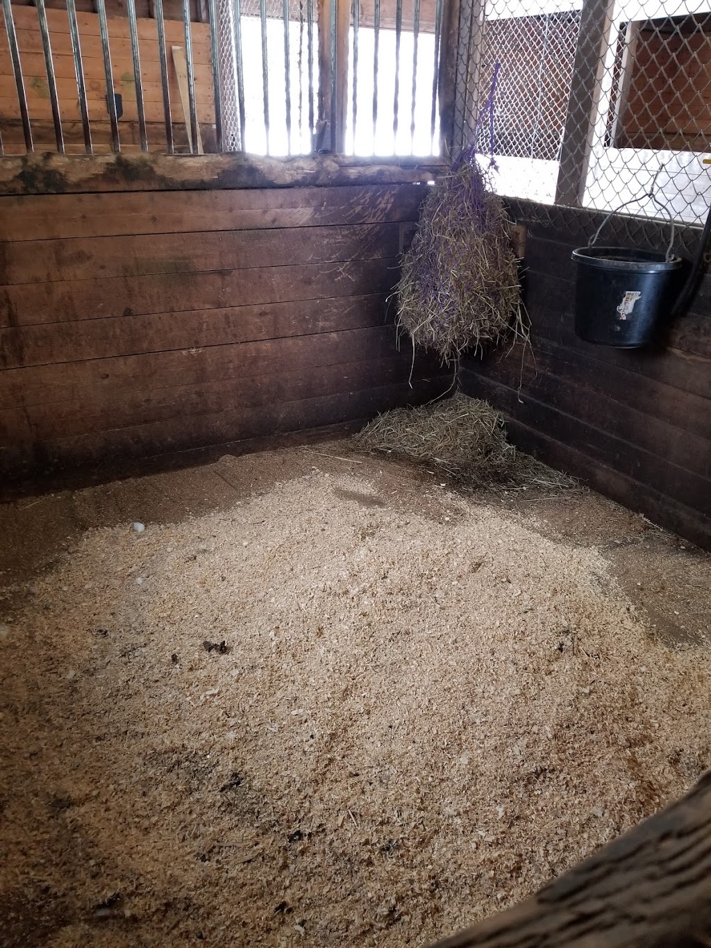 Maple Ridge Stable | 224 Etter Rd, Mount Uniacke, NS B0N 1Z0, Canada | Phone: (902) 499-0654