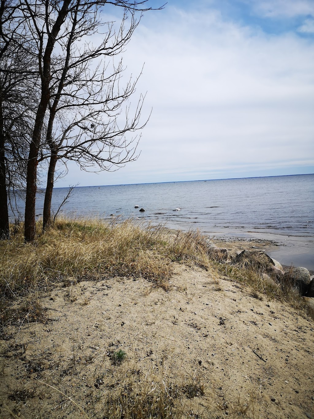 Fire & Water Bistro at Buffalo Point | 20 Buffalo Point Rd, Buffalo Point, MB R0A 2W0, Canada | Phone: (204) 437-2777