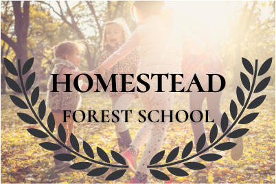 Homestead Forest School | 54 Old Mill Rd, Clear Creek, ON N0E 1C0, Canada | Phone: (905) 464-1042