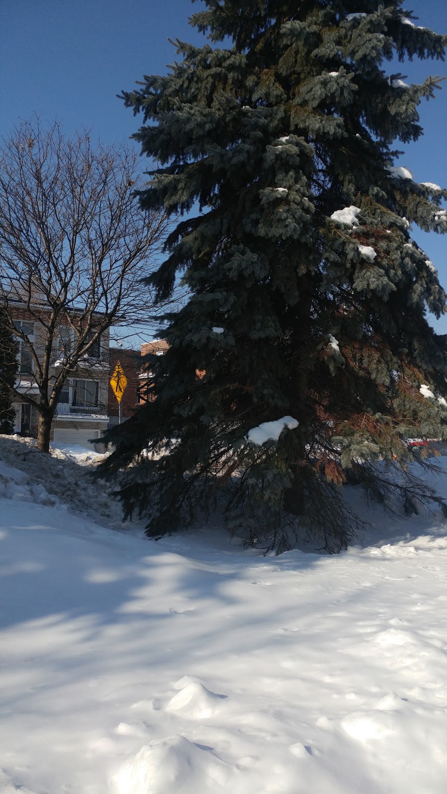 Lacharité Park | Rue Centrale, Montréal, QC H8P, Canada