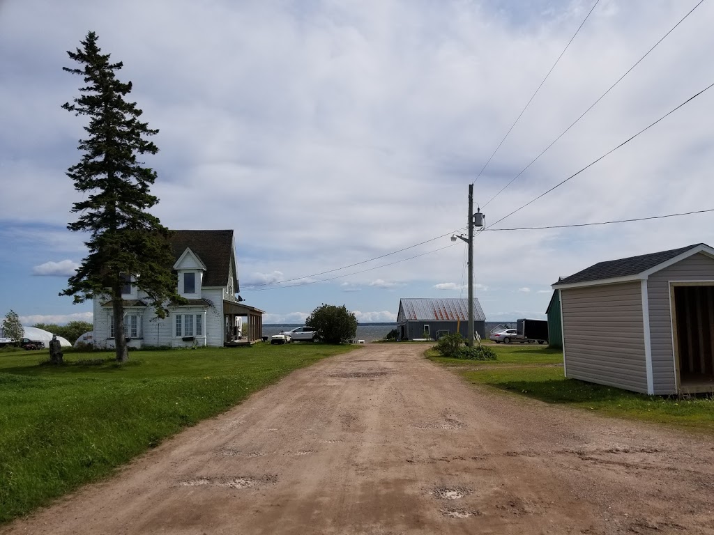 Reades Nursery | Botsford Parish, NB E4M 2R9, Canada | Phone: (506) 538-2343