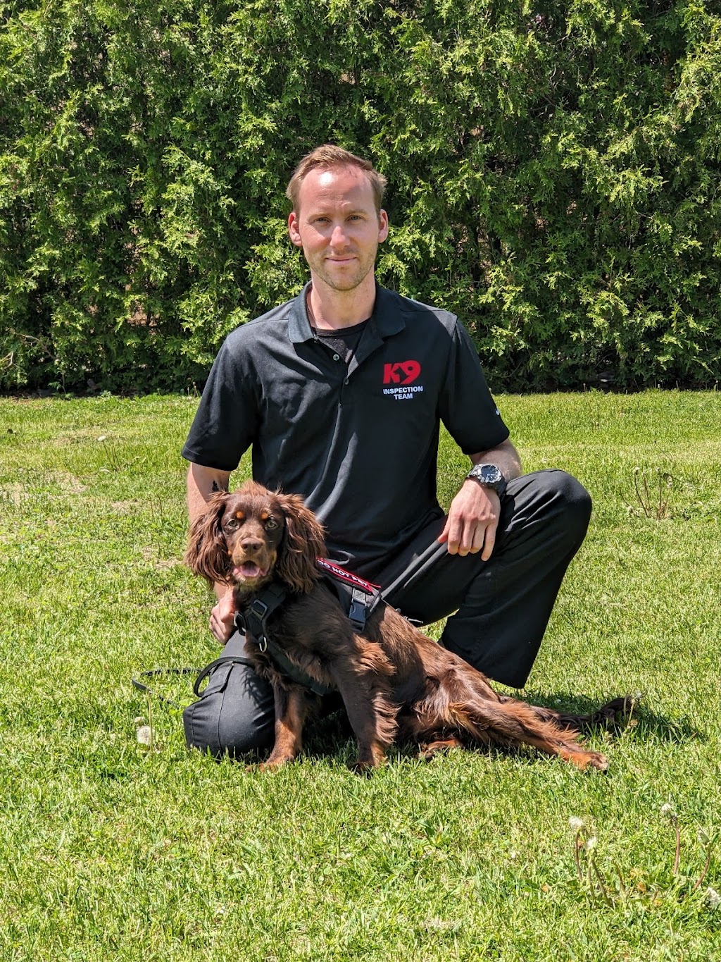 Penser Chien | 1132 Rang du Brûlé, Saint-Antoine-sur-Richelieu, QC J0L 1R0, Canada | Phone: (438) 883-0915