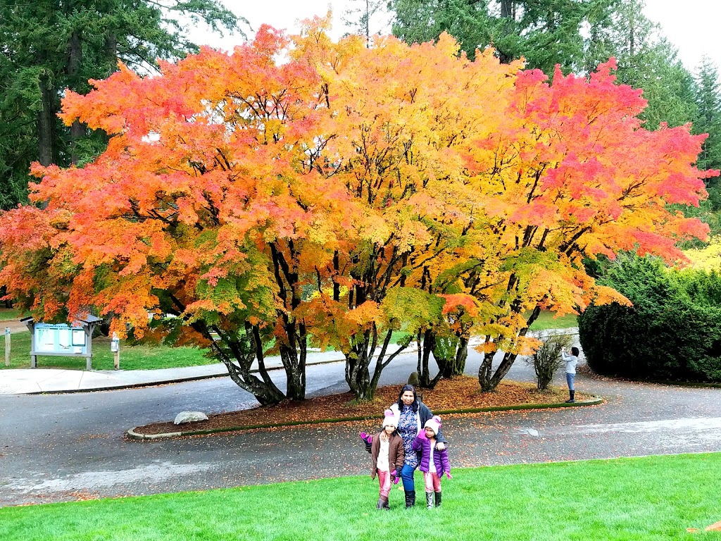 Capilano River Regional Park | 5077 Capilano Rd, North Vancouver, BC V7R 4K4, Canada | Phone: (604) 224-5739