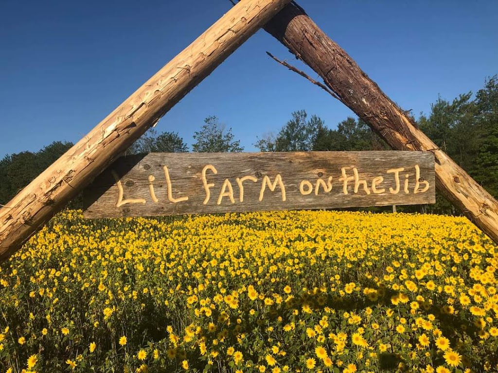 Lil Farm on the Jib | 84 MacLennan Rd, Hazelbrook, PE C1B 0N5, Canada | Phone: (902) 569-1133