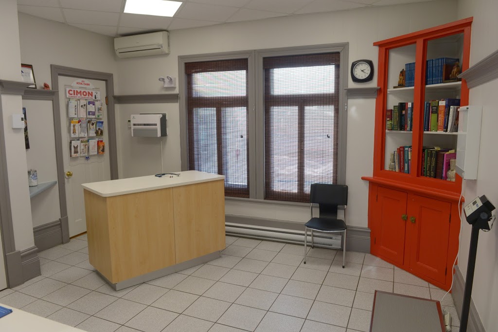Clinique vétérinaire Cimon | 454 Rue Racine, Québec, QC G2B 1G4, Canada | Phone: (418) 842-6933