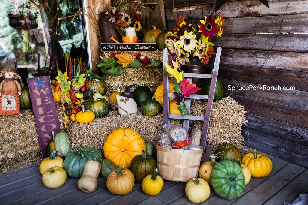 Spruce Park Ranch Country Store & Coffee Shop | 51432 Range Rd 273, Spruce Grove, AB T7Y 1H7, Canada | Phone: (780) 963-5235