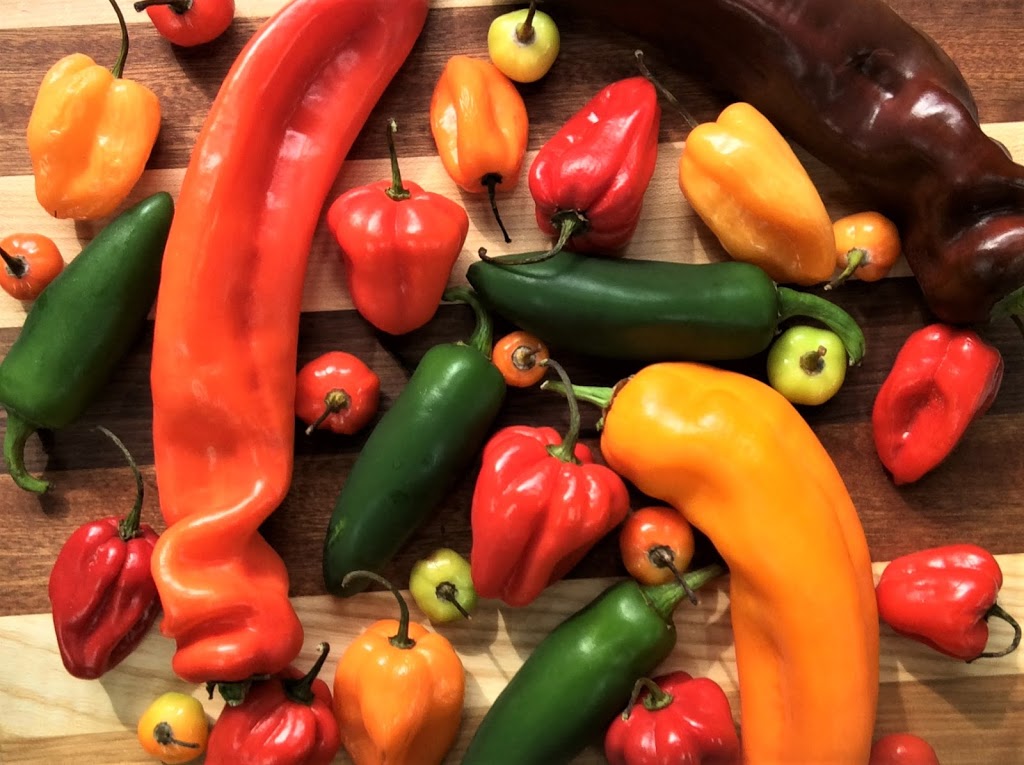 Suzannes Hot Stuff | 556 Fallis Line, Millbrook, ON L0A 1G0, Canada | Phone: (905) 396-1266