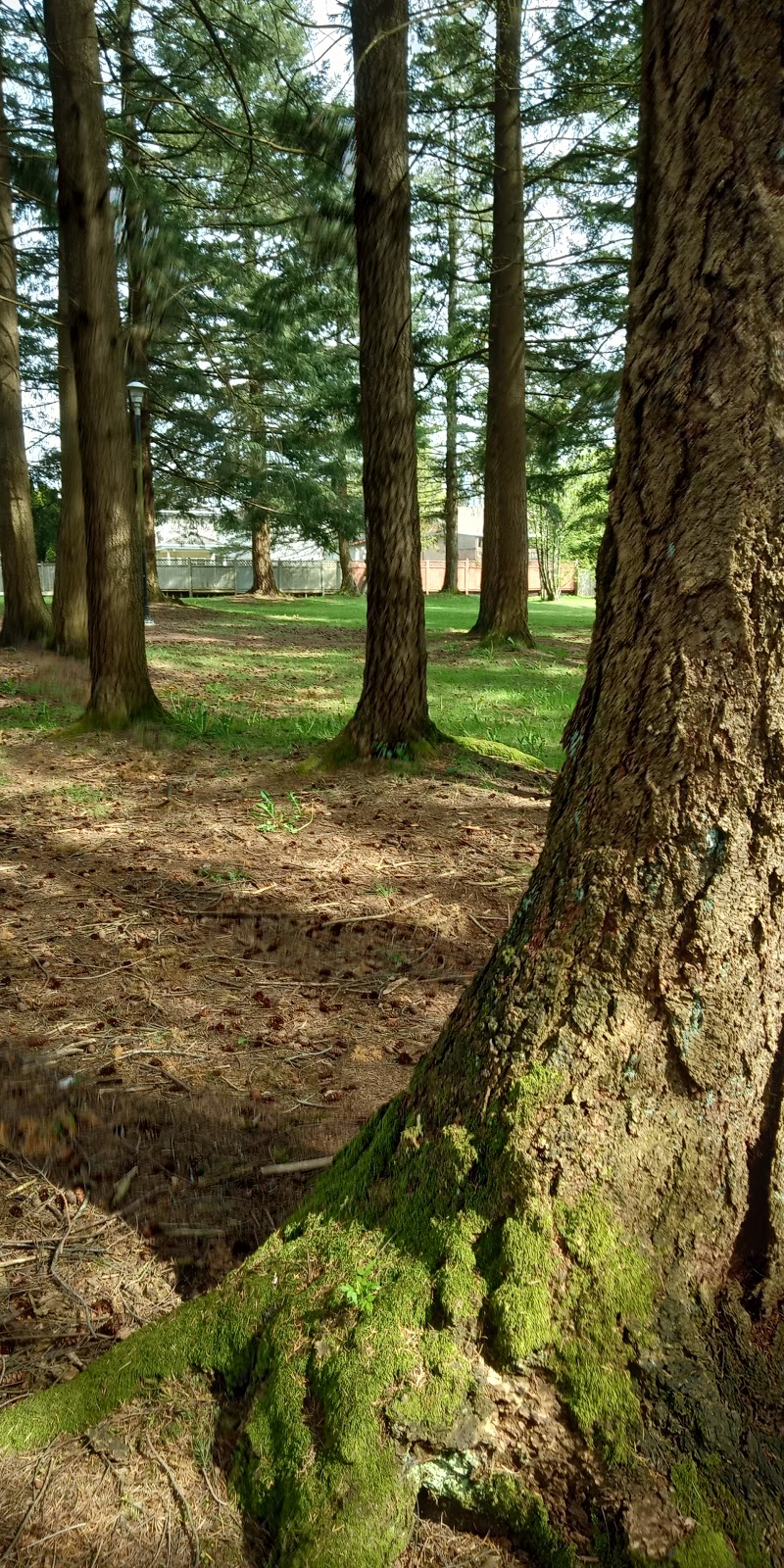 Gunderson Park | 7630 117 St, Delta, BC V4C 6A5, Canada | Phone: (604) 873-7000