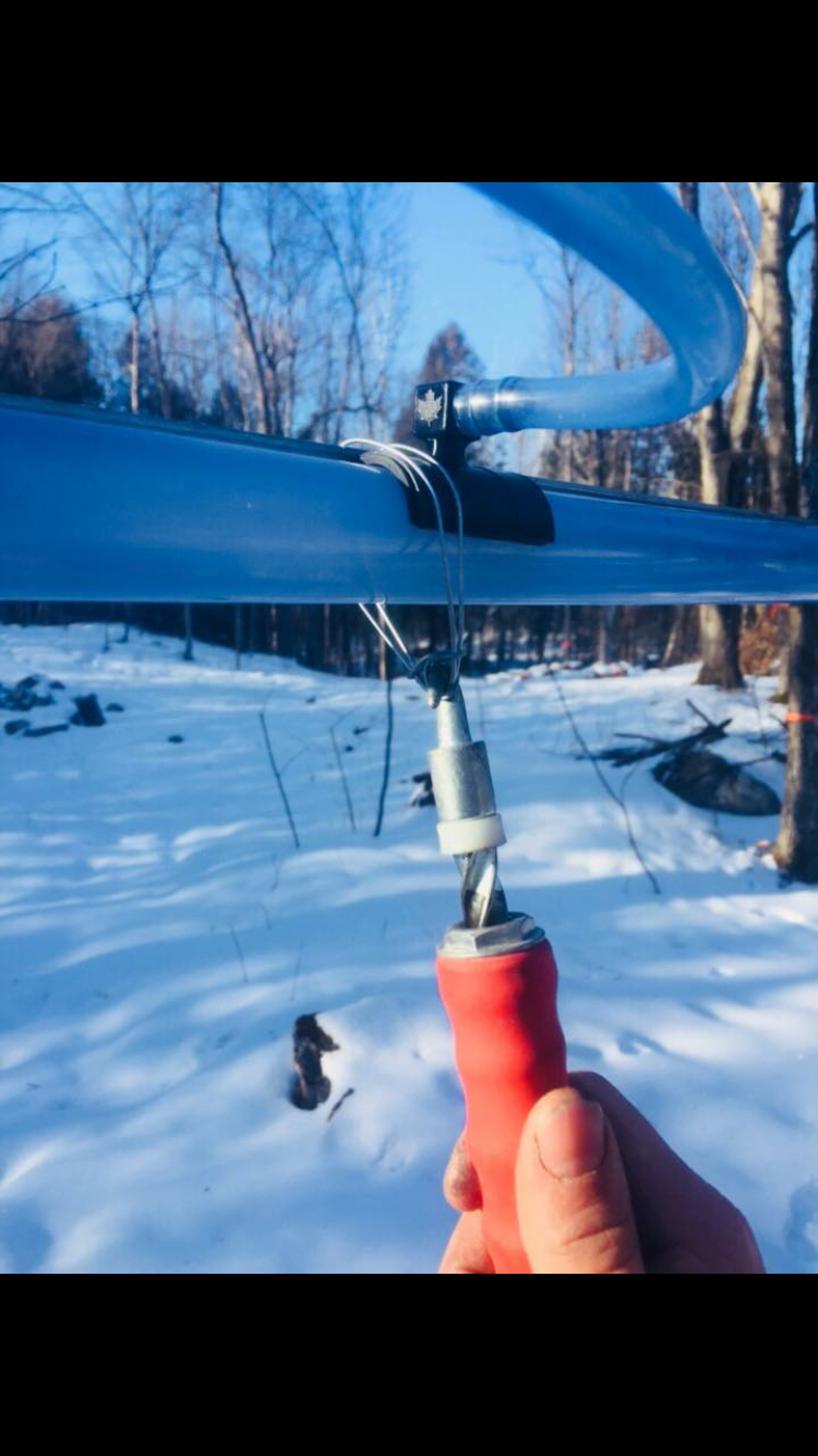 Pure 62 Local: Yearwood Family Sugarbush | 12099 ON-62, Madoc, ON K0K 2K0, Canada | Phone: (613) 848-8446