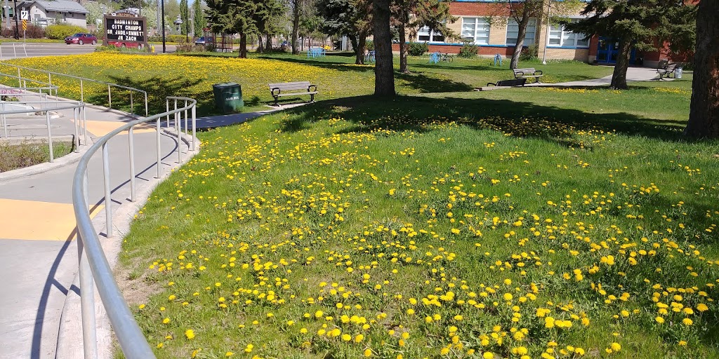 McKernan School | 11330 76 Ave NW, Edmonton, AB T6G 0K1, Canada | Phone: (780) 435-4163