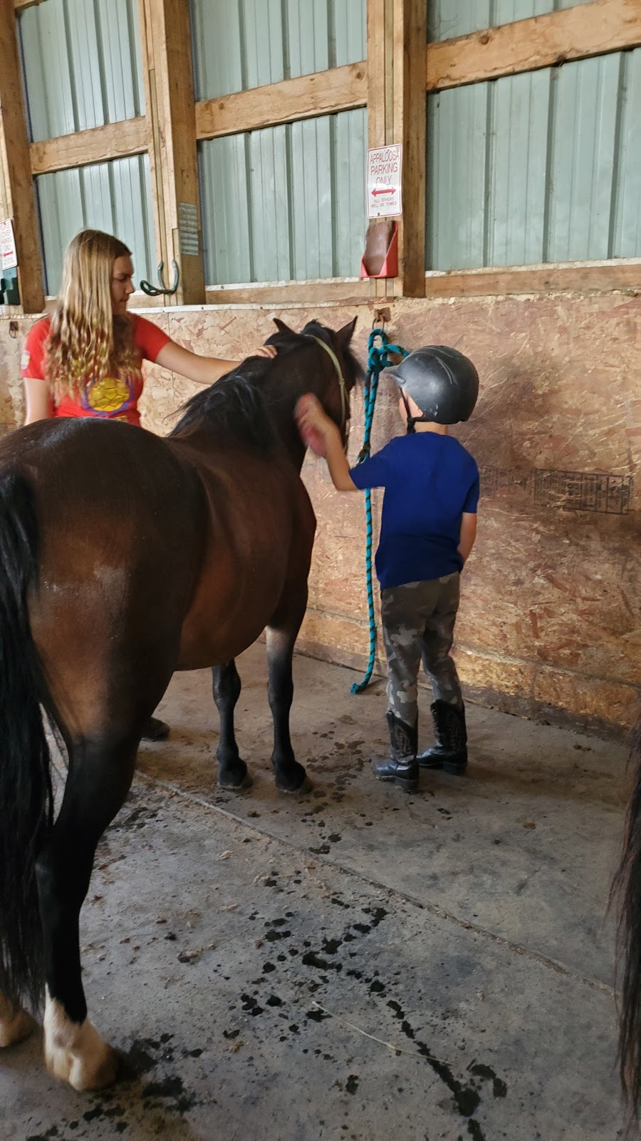 carousel riders | Moose Jaw No. 161, SK S0H 0N0, Canada | Phone: (306) 684-1289