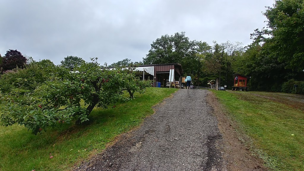 JC Agri Orchards | 3105 16th Sideroad, King City, ON L7B 1A3, Canada | Phone: (705) 817-0943