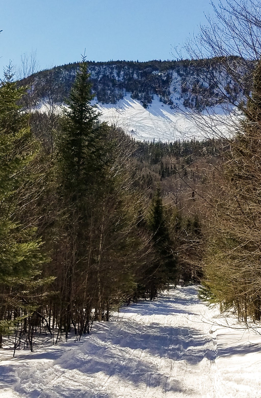 Pittsburg Ridge Runners | 17 Dickson Ln, Pittsburg, NH 03592, USA | Phone: (603) 538-7437
