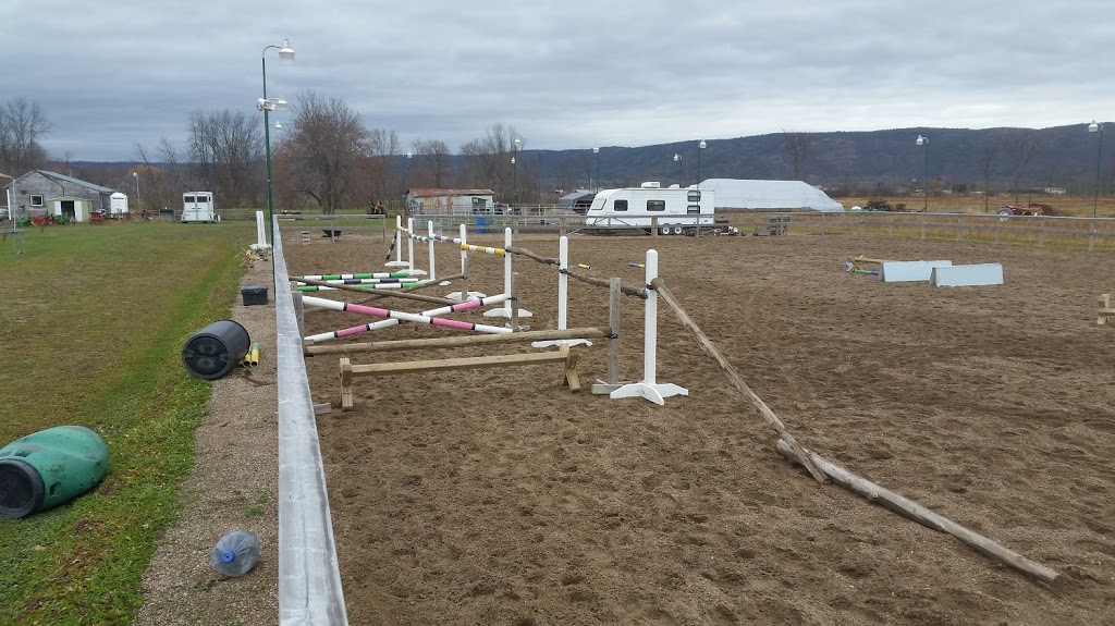 Black Bay Horse Farm | 250 Chemin de la Baie, Luskville, QC J0X 2G0, Canada | Phone: (819) 665-3614