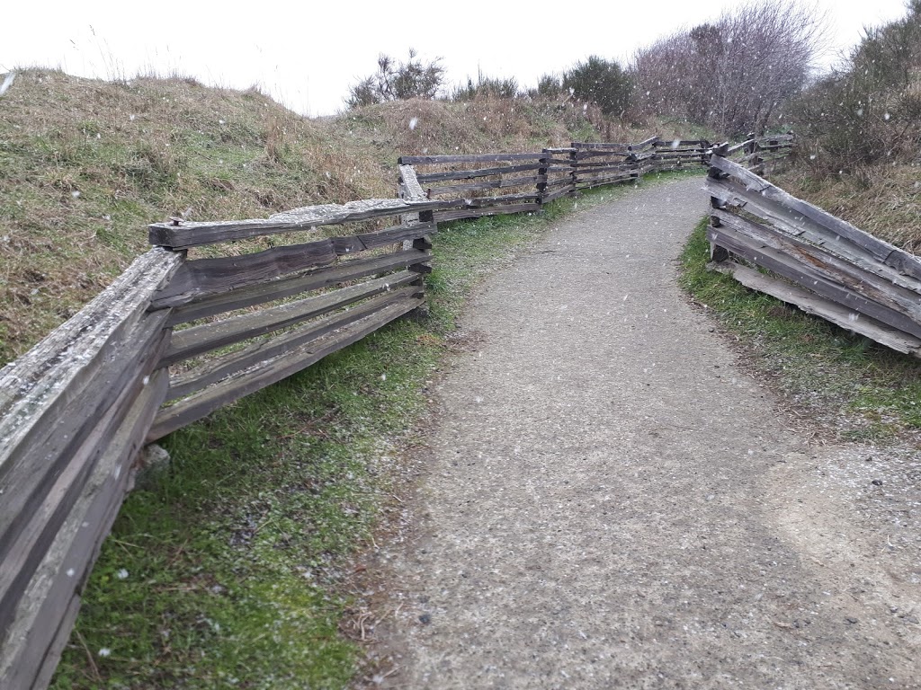 MacAulay Point Park | 304 Clifton Terrace, Victoria, BC V9A 5X9, Canada | Phone: (250) 412-8525
