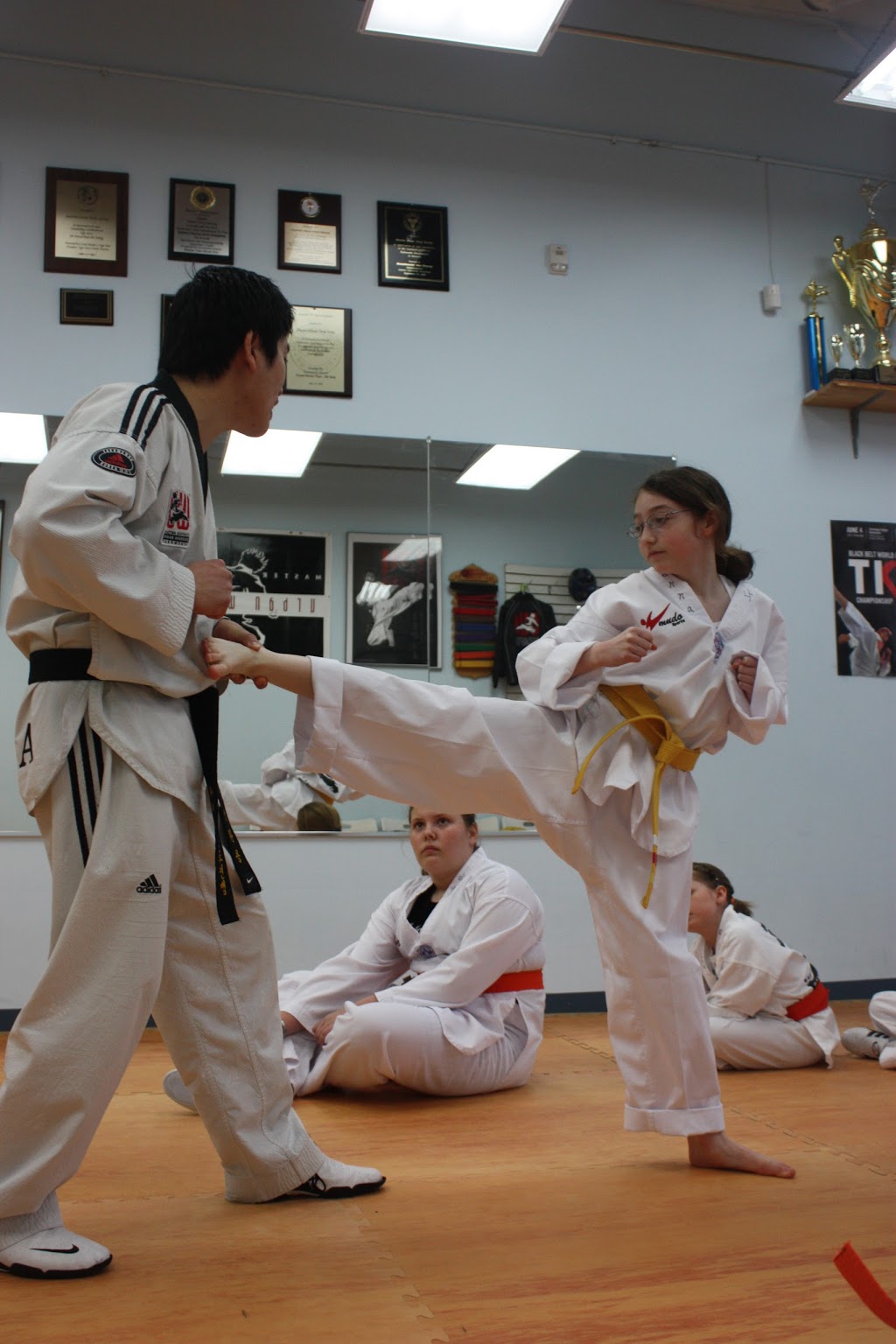 Seongs Taekwondo World | Oakville Martial Arts | 461 North Service Rd W B43-44, Oakville, ON L6M 2V5, Canada | Phone: (905) 510-3434