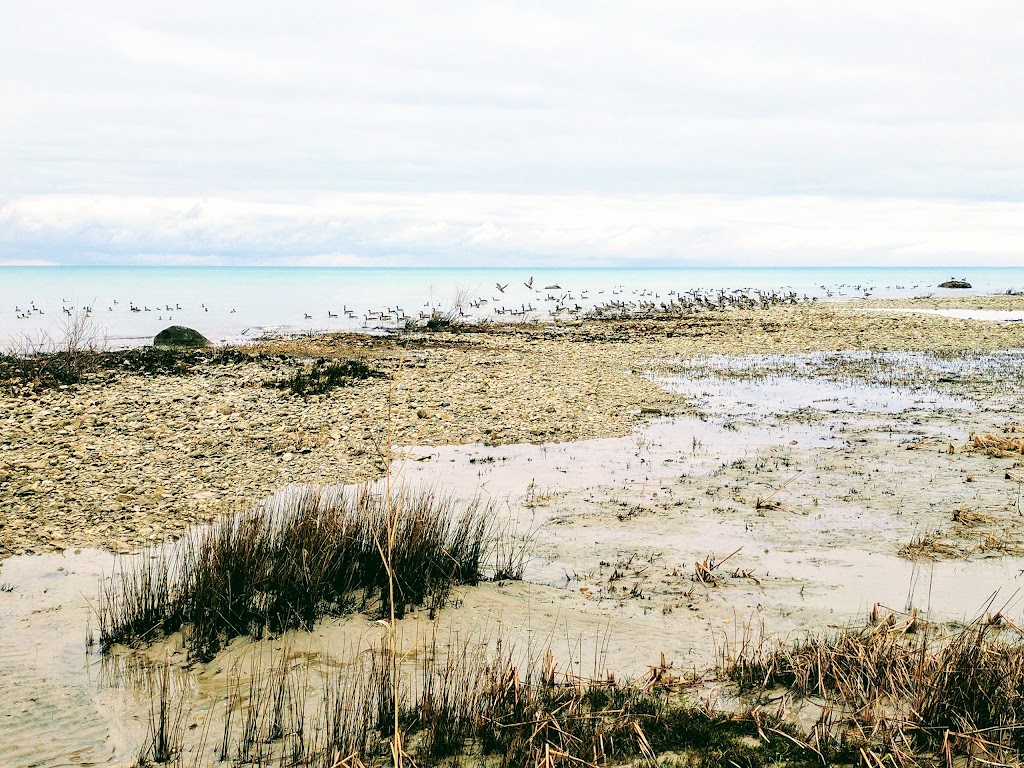 Community Living Kincardine & District | 299 Saratoga Rd, Kincardine, ON N2Z 2N7, Canada | Phone: (519) 396-9434