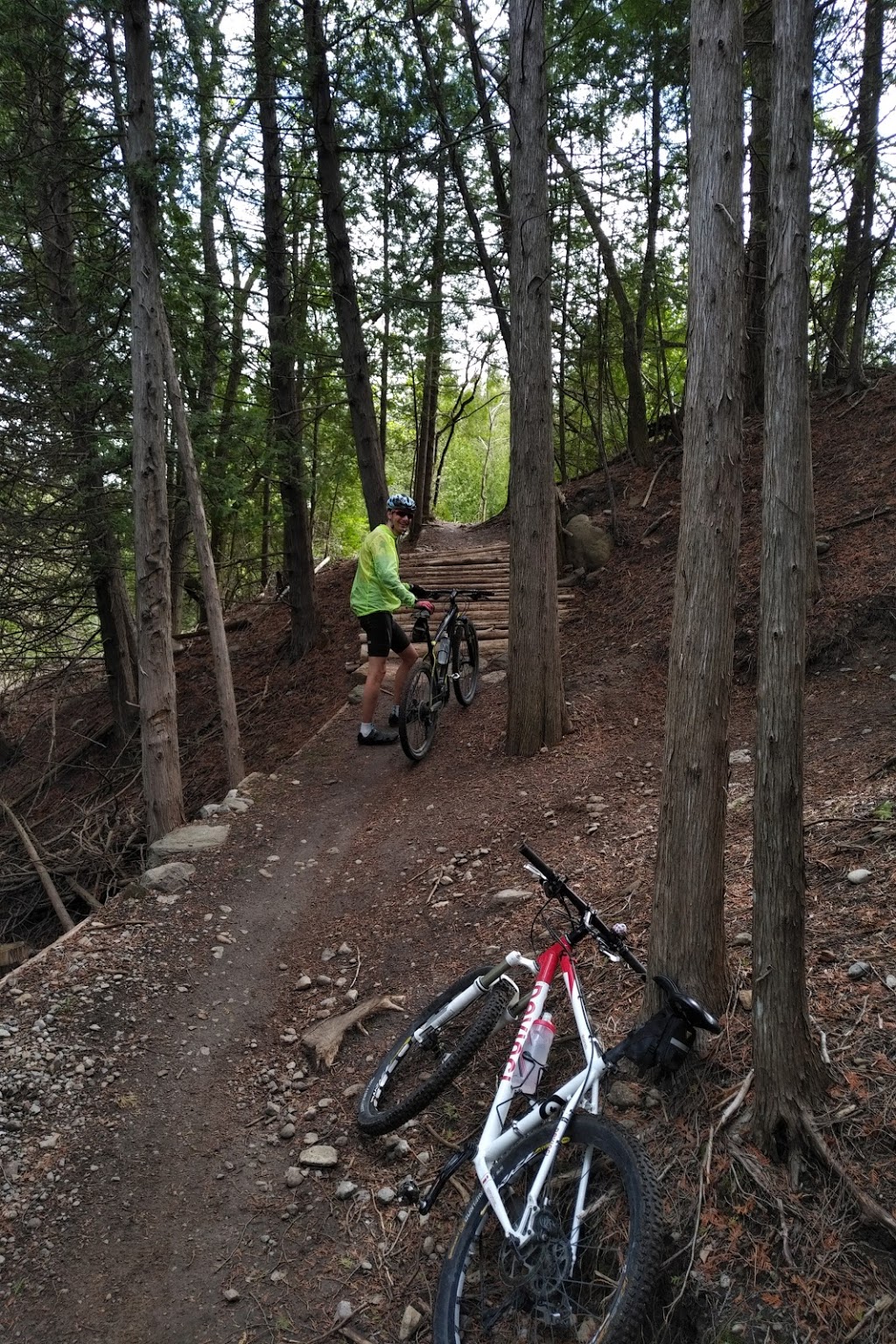Harold Town Conservation Area Mountain Bike Trails | 2611 Old Norwood Rd, Peterborough, ON K9J 6X8, Canada | Phone: (705) 745-5791