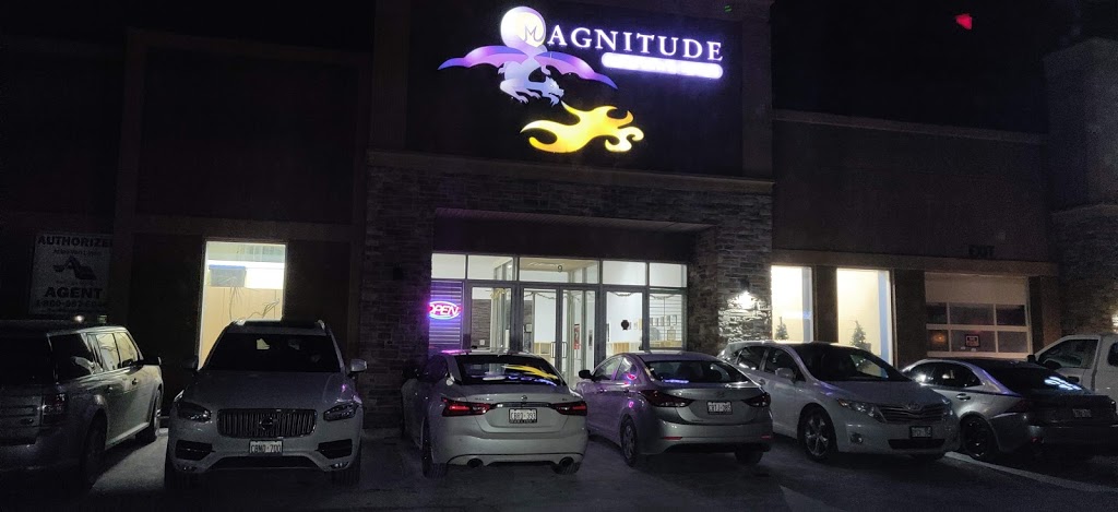 Magnitude martial arts | 2380 Royal Windsor Dr, Mississauga, ON L5J 1K6, Canada | Phone: (905) 855-9300