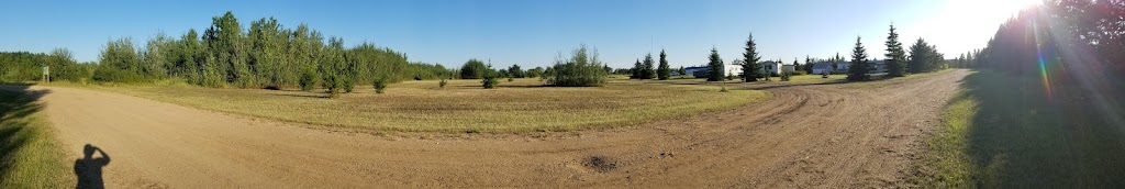 Pine Meadow | Range Road 230 & Township 670, AB T0G 0R0, Canada | Phone: (403) 801-4817
