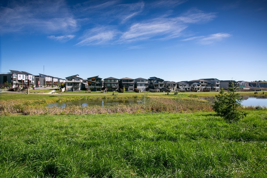 Avillia Developments Ltd. | 14127 23 Ave NW Suite 328, Edmonton, AB T6R 0G4, Canada | Phone: (780) 435-1388