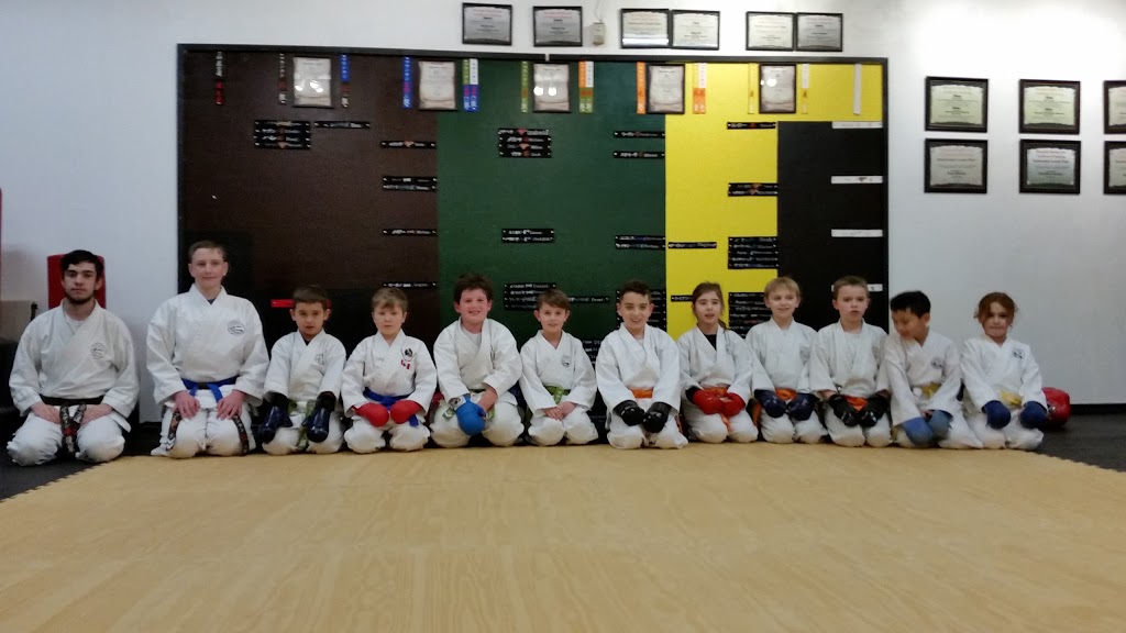 Mountain Martial Arts | 290 Barton St, Stoney Creek, ON L8E 2K6, Canada | Phone: (905) 664-6313