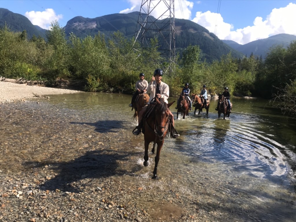 Mustang Riding Stables | 14729 Sylvester Rd, Fraser Valley F, BC V2V 0B9, Canada | Phone: (604) 826-1800