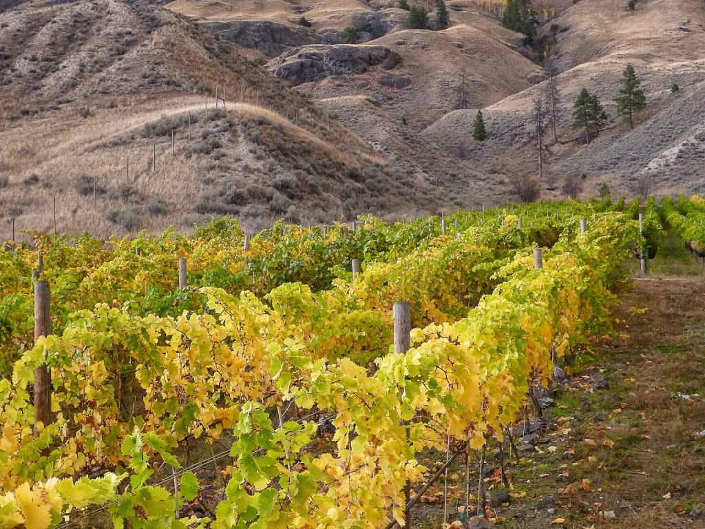 Sagewood Winery | 589 Meadow Lark Rd, Kamloops, BC V2H 1S9, Canada | Phone: (250) 573-1921