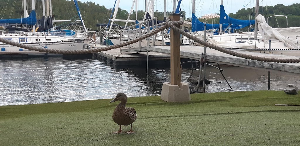 Marina du Grand Boisé Inc. | 10 Chem. Hauser, Stanstead, QC J0B 1T0, Canada | Phone: (514) 715-7008