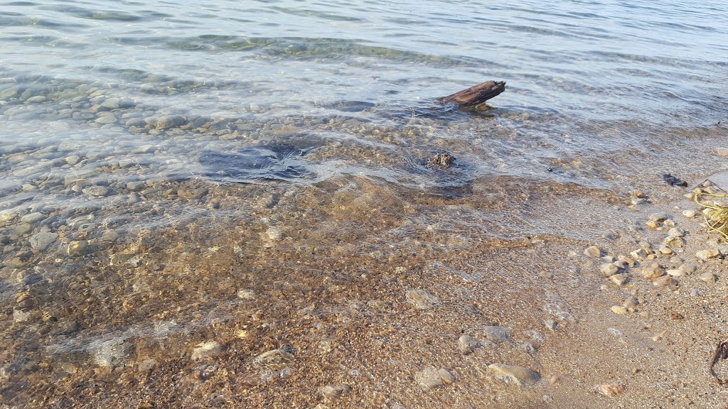 Holmes Point Park | 131 Holmes Point Rd, Pefferlaw, ON L0E 1N0, Canada | Phone: (905) 476-4301