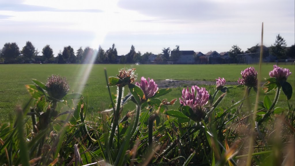 Hillcrest Park | 6530 185 St, Surrey, BC V3S 8V6, Canada | Phone: (604) 501-5174