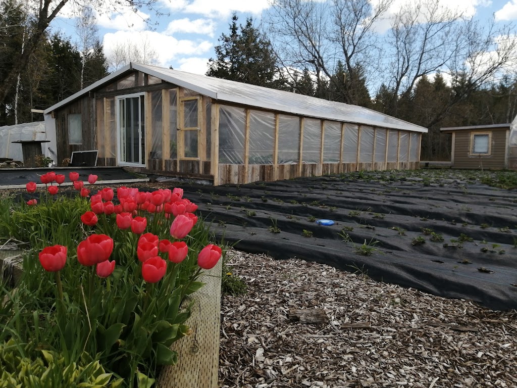 Les Jardins Sangeo | 935 16e Rang O, Villeroy, QC G0S 3K0, Canada | Phone: (819) 352-9408