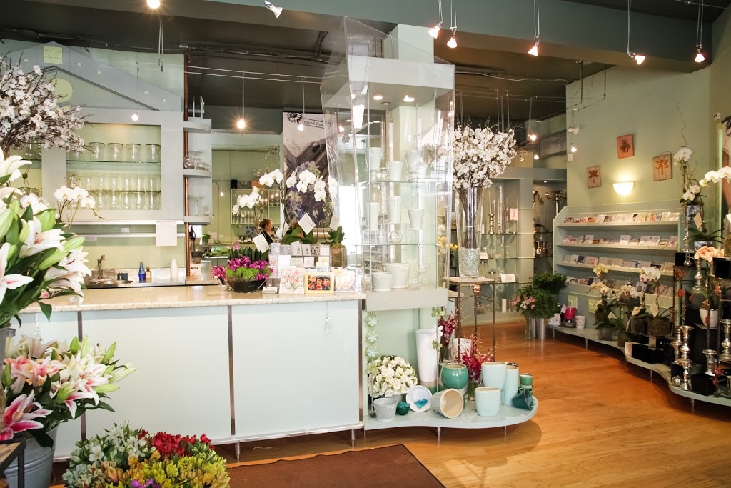 Beyond Flowers | 1099 Corydon Ave, Winnipeg, MB R3M 0X3, Canada | Phone: (204) 477-5787