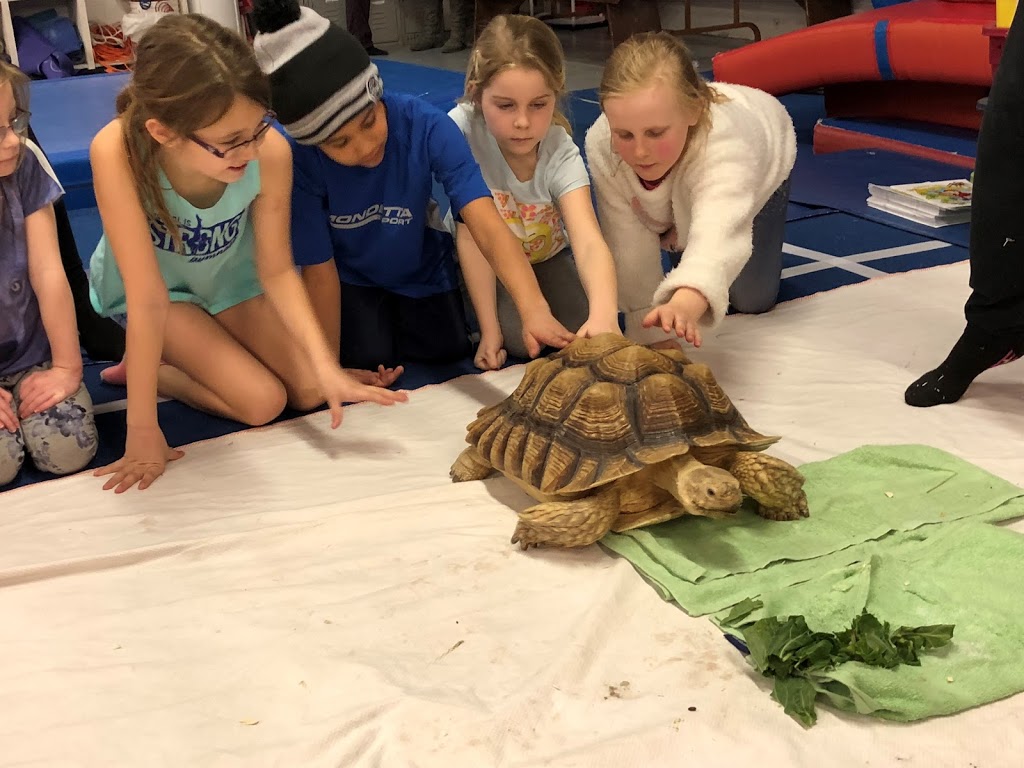 Kawartha Gymnastics Club | 33 Roger Neilson Way, Peterborough, ON K9J 0A4, Canada | Phone: (705) 743-0300